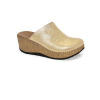 G4164 דגם ימית