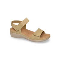 BZ415-2 דגם שירן