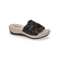 253-24 דגם אוסי