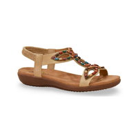 3466-2 דגם קייט