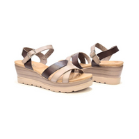 1569-1 דגם דלית