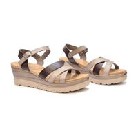 1569-1 דגם דלית