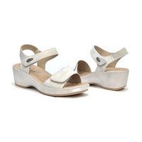 202-12 דגם לילי