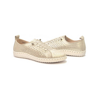 G3037H דגם דורין