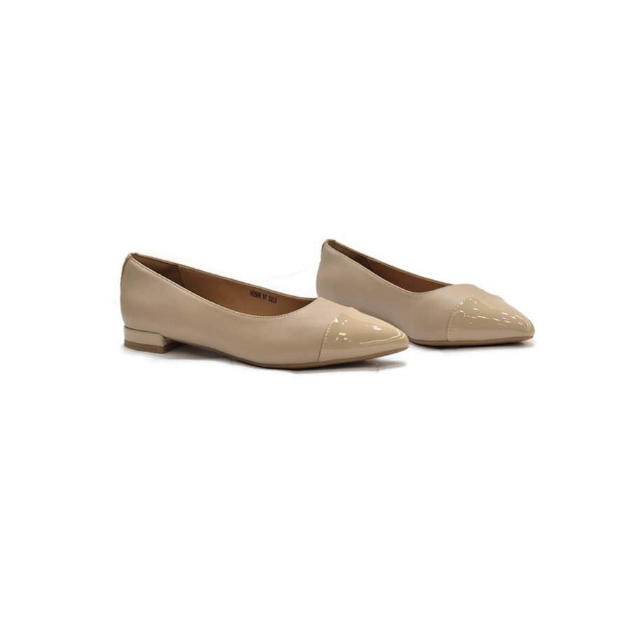 N2509 דגם לבונה