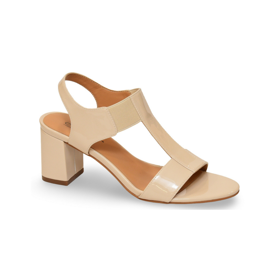 N2409 דגם אורית