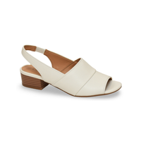 N2404 דגם אריקה