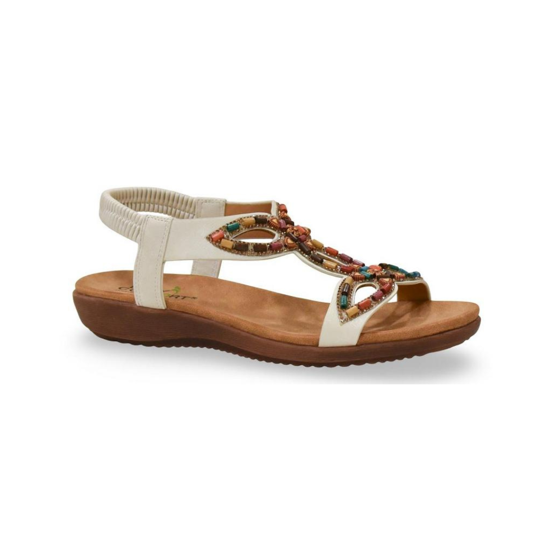 3466-2 דגם קייט