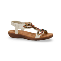 3466-2 דגם קייט