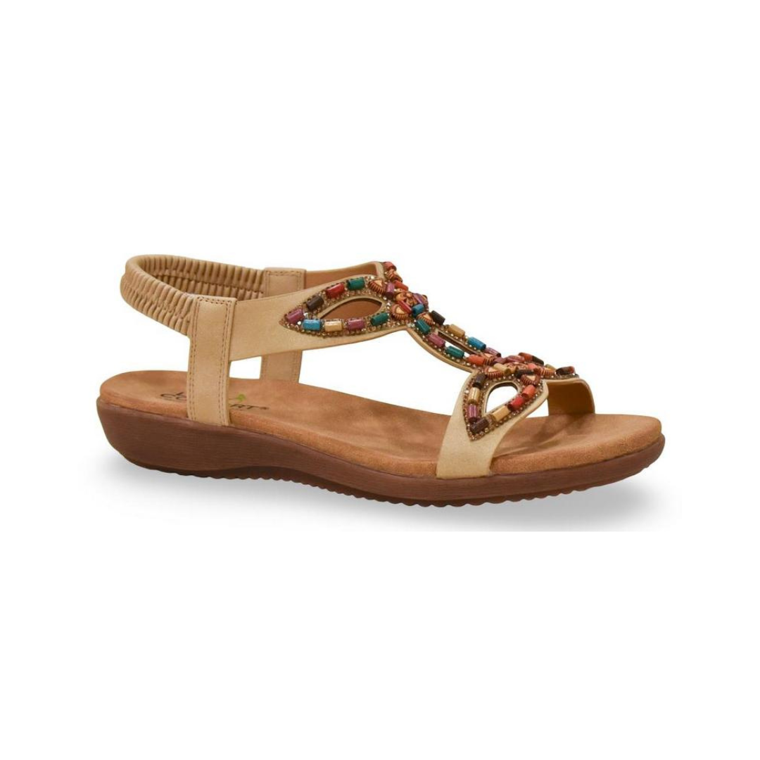 3466-2 דגם קייט