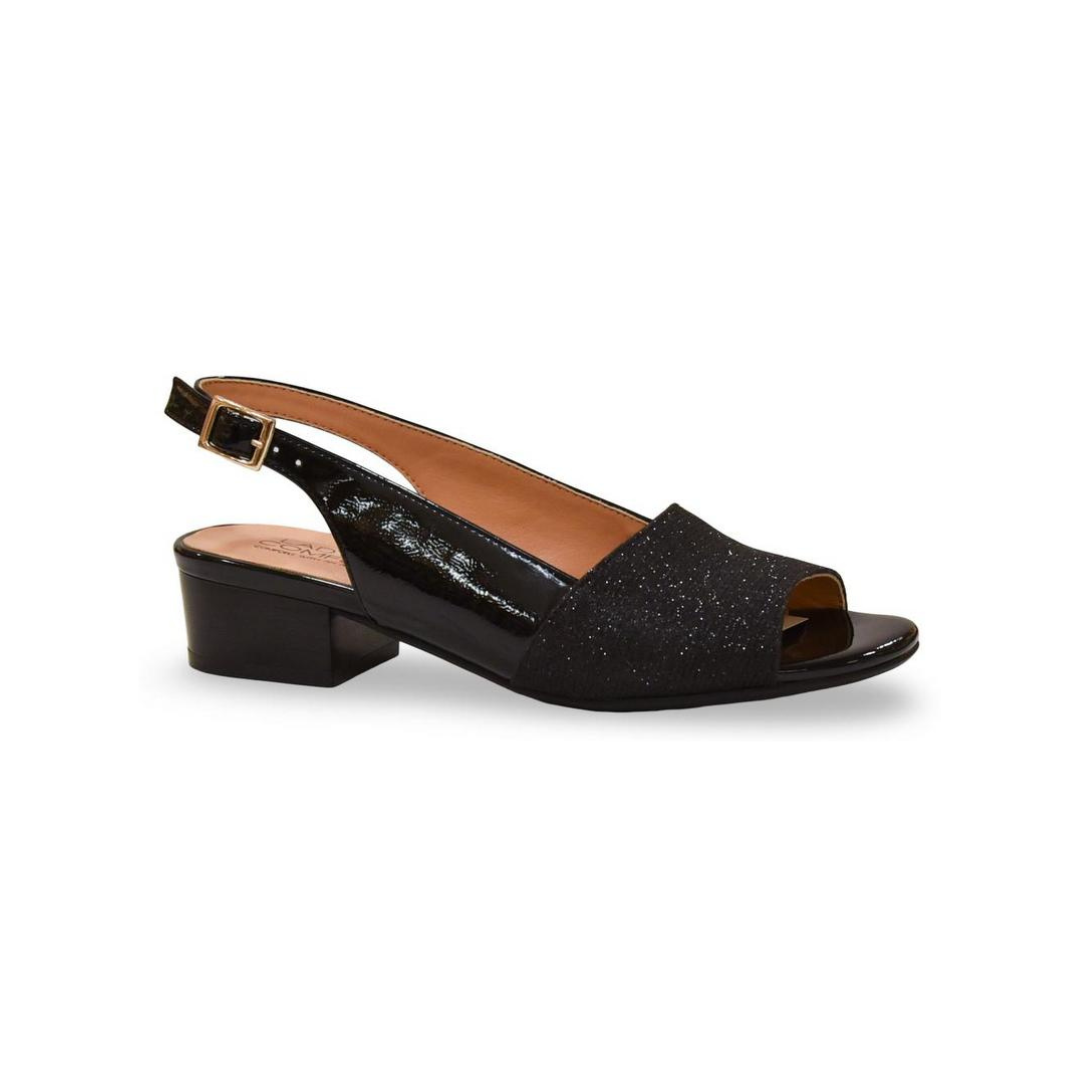 N2606 דגם ניצן